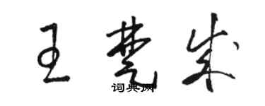骆恒光王楚成草书个性签名怎么写