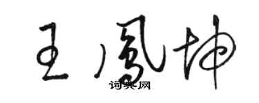 骆恒光王凤坤草书个性签名怎么写
