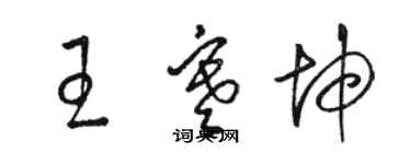 骆恒光王寒坤草书个性签名怎么写