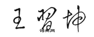 骆恒光王习坤草书个性签名怎么写