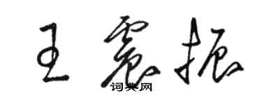 骆恒光王震振草书个性签名怎么写