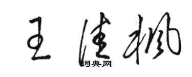 骆恒光王佳枫草书个性签名怎么写