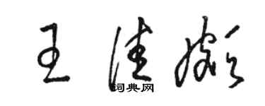 骆恒光王佳颇草书个性签名怎么写