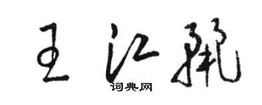 骆恒光王江丽草书个性签名怎么写
