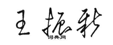 骆恒光王振新草书个性签名怎么写