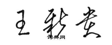 骆恒光王新贵草书个性签名怎么写