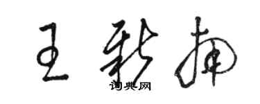 骆恒光王新南草书个性签名怎么写