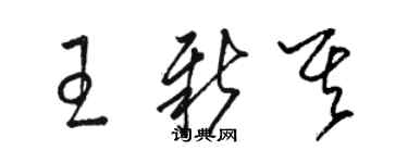 骆恒光王新其草书个性签名怎么写
