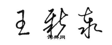 骆恒光王新泰草书个性签名怎么写