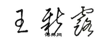 骆恒光王新露草书个性签名怎么写
