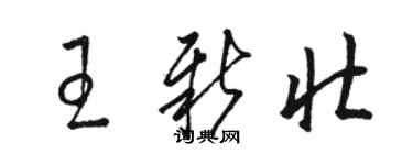 骆恒光王新壮草书个性签名怎么写