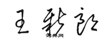 骆恒光王新朗草书个性签名怎么写