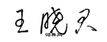 骆恒光王晓君草书个性签名怎么写