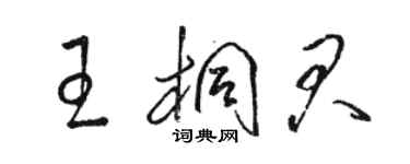 骆恒光王桐君草书个性签名怎么写
