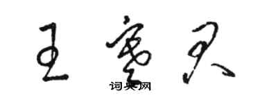 骆恒光王寒君草书个性签名怎么写
