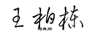 骆恒光王柏栋草书个性签名怎么写
