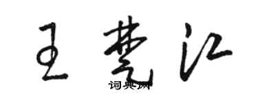 骆恒光王楚江草书个性签名怎么写