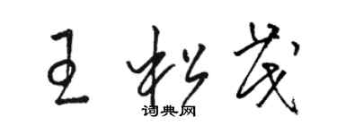 骆恒光王松茂草书个性签名怎么写