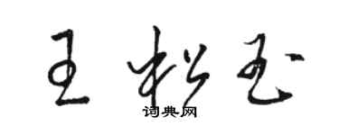 骆恒光王松玉草书个性签名怎么写