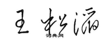 骆恒光王松滔草书个性签名怎么写