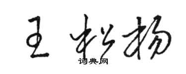 骆恒光王松杨草书个性签名怎么写