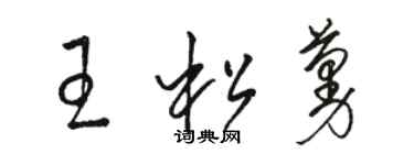 骆恒光王松蔓草书个性签名怎么写