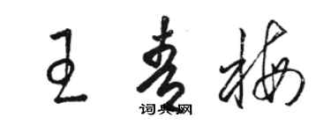 骆恒光王青梅草书个性签名怎么写