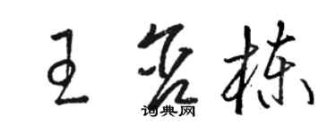骆恒光王含栋草书个性签名怎么写