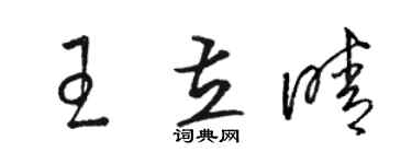 骆恒光王立晴草书个性签名怎么写