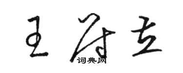 骆恒光王尉立草书个性签名怎么写