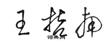 骆恒光王哲南草书个性签名怎么写