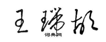 骆恒光王瑞胡草书个性签名怎么写