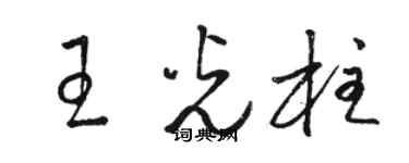 骆恒光王光柱草书个性签名怎么写