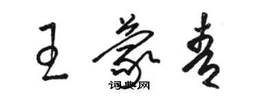 骆恒光王蒙青草书个性签名怎么写