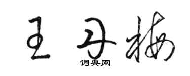骆恒光王丹梅草书个性签名怎么写