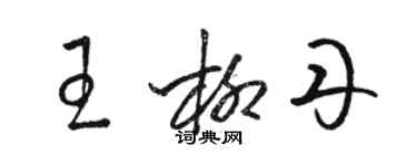 骆恒光王柳丹草书个性签名怎么写