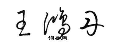 骆恒光王鸿丹草书个性签名怎么写