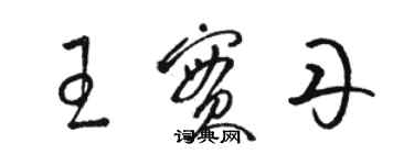 骆恒光王实丹草书个性签名怎么写