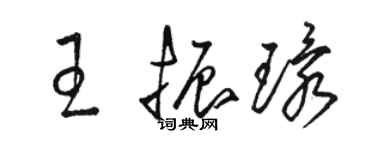 骆恒光王振环草书个性签名怎么写
