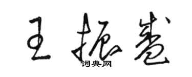 骆恒光王振盛草书个性签名怎么写