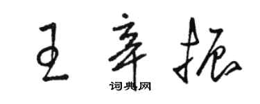骆恒光王辛振草书个性签名怎么写