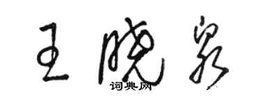 骆恒光王晓泉草书个性签名怎么写