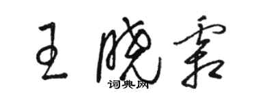 骆恒光王晓霜草书个性签名怎么写
