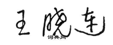 骆恒光王晓连草书个性签名怎么写