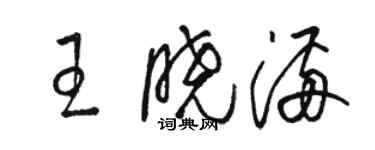 骆恒光王晓满草书个性签名怎么写