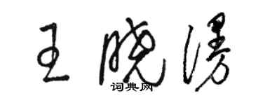骆恒光王晓漫草书个性签名怎么写