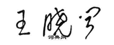 骆恒光王晓闻草书个性签名怎么写