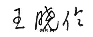 骆恒光王晓伶草书个性签名怎么写