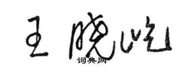 骆恒光王晓屹草书个性签名怎么写