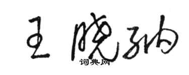 骆恒光王晓纳草书个性签名怎么写